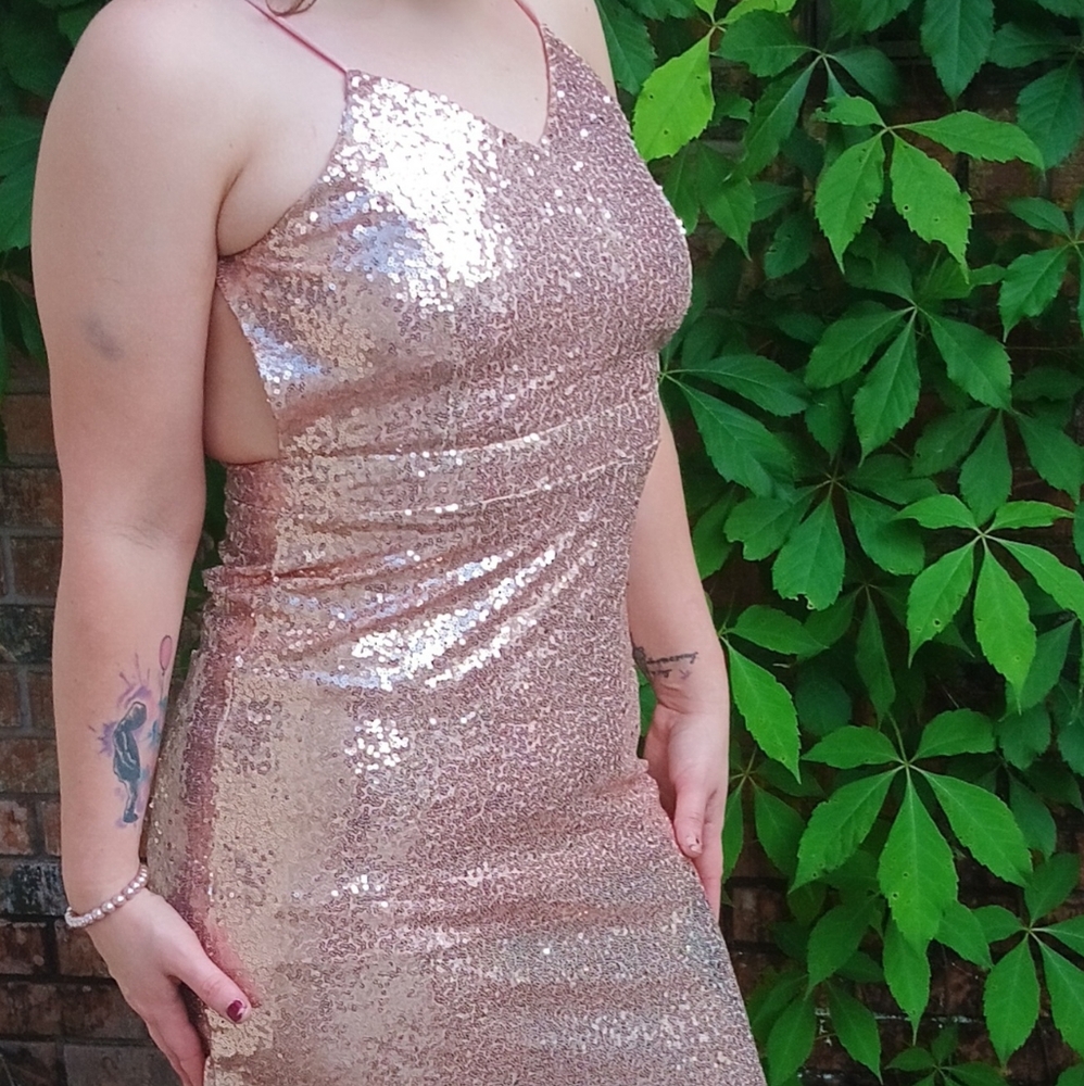 NWT Rouge Size Large Rose Gold Dress with Sequins. Only tried on by model.
